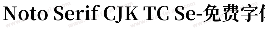 Noto Serif CJK TC Se字体转换